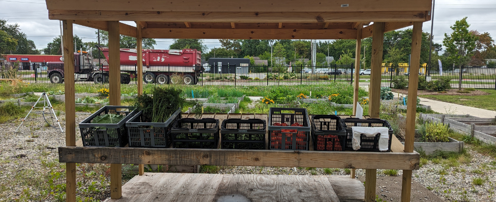 Farm Stand with 6 crates of vegetables and bags
